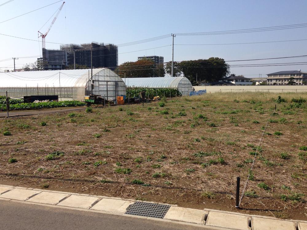 Local land photo. Local Photos