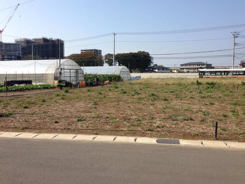 Local land photo. Local Photos