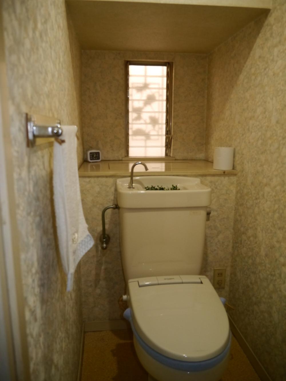 Toilet. Local (12 May 2013) Shooting