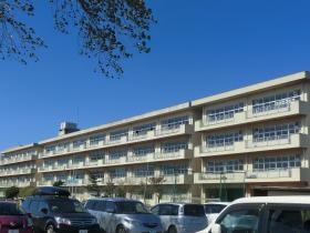 Junior high school. Minami Nagareyama junior high school, which is 764m school until junior high school is here.. 