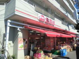 Supermarket. Shopping 275m daily necessities to food Museum please here. 