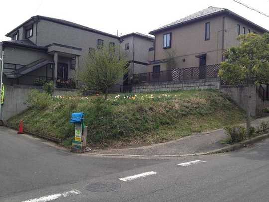 Local land photo. local