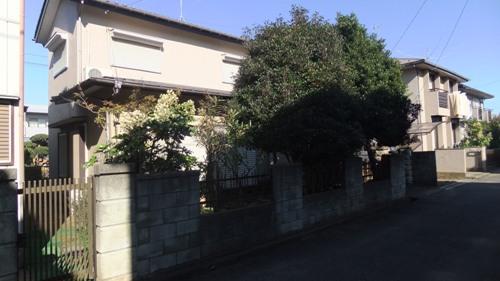 Local land photo. Local (11 May 2013) Shooting