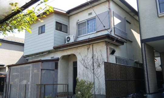 Local land photo. appearance