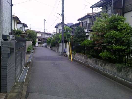 Local land photo. From the front road (1)