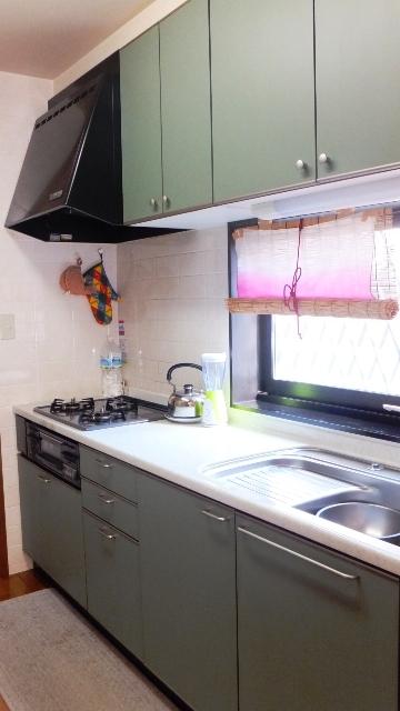 Kitchen. Indoor (11 May 2013) Shooting