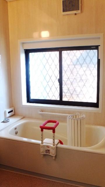 Bathroom. Indoor (11 May 2013) Shooting