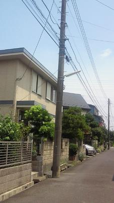 Local land photo. local