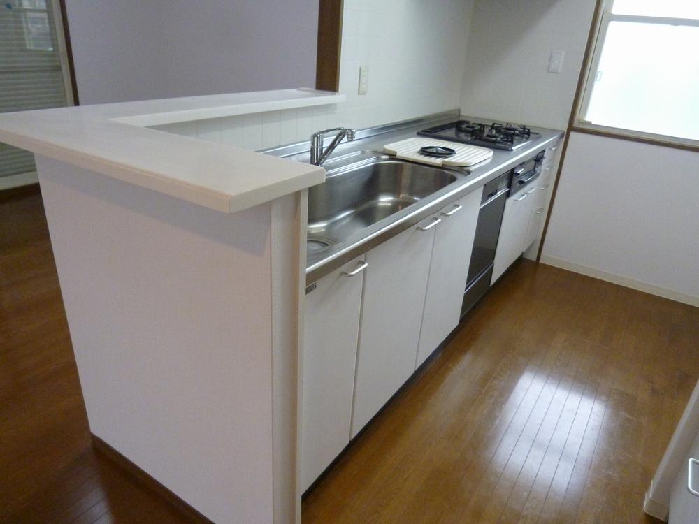 Kitchen. Indoor (July 26, 2013) Shooting