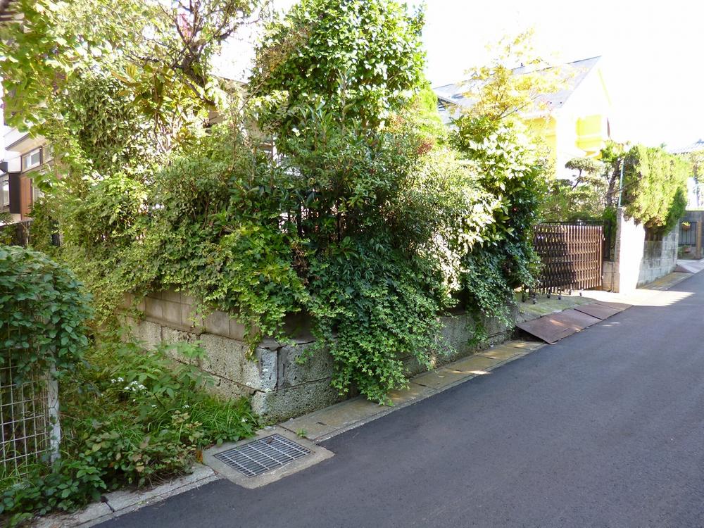 Local appearance photo