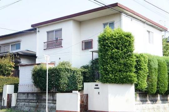 Local land photo. Local Photos