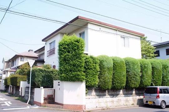 Local land photo. Local Photos