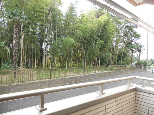 Other local. Local (January 2013) Shooting