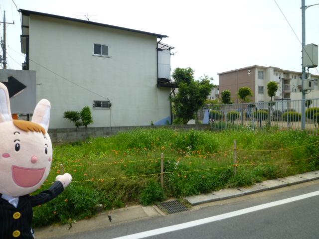 Local land photo. Local (May 2012) shooting