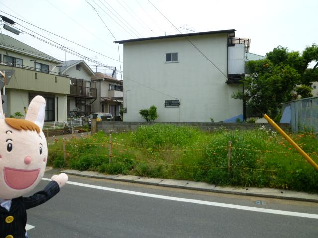 Local land photo. Local (May 2012) shooting