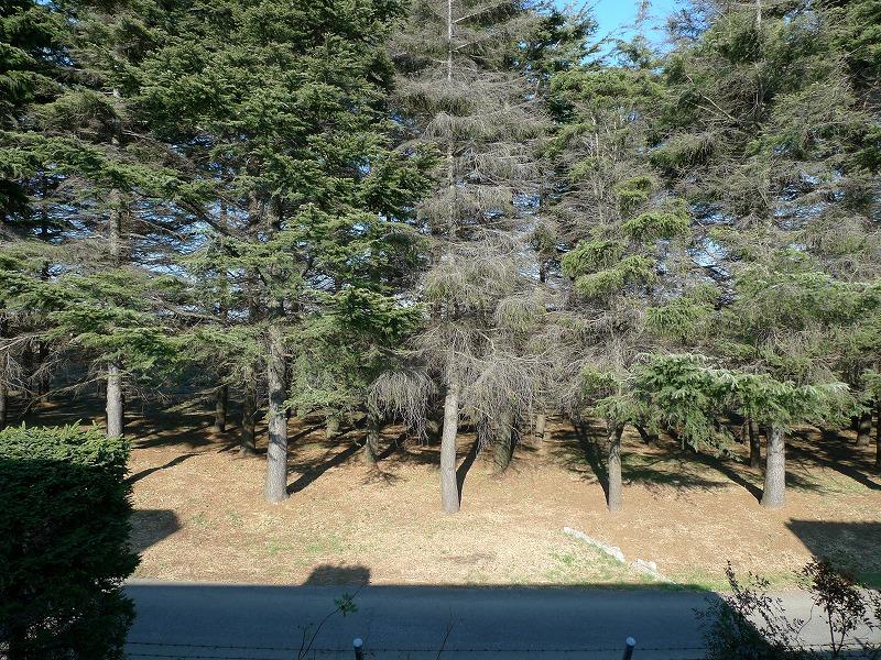 View photos from the local. View from the site (December 2013) Shooting North (Ground Self-Defense Force garrison)