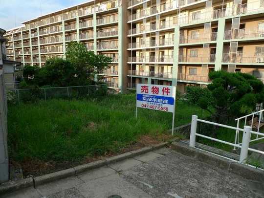 Local land photo. Local Photos