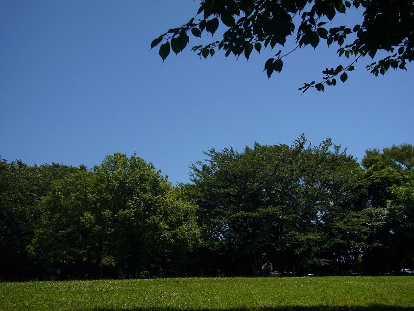 Other. Akitsu park A 2-minute walk (130m)