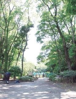 park. 630m to Forest Park