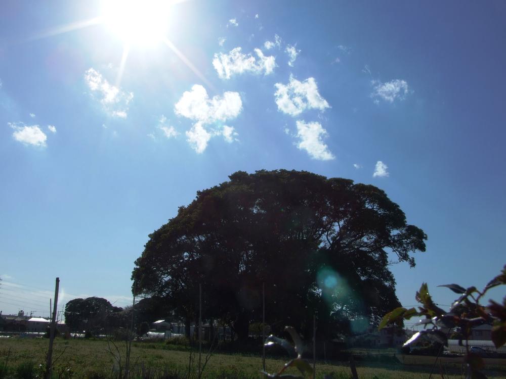 Other Environmental Photo. Excavation 850m to Kaizuka green space