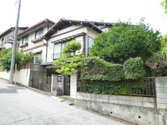 Local land photo. appearance