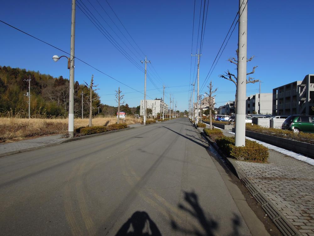 Other local. Local (January 2013) Shooting