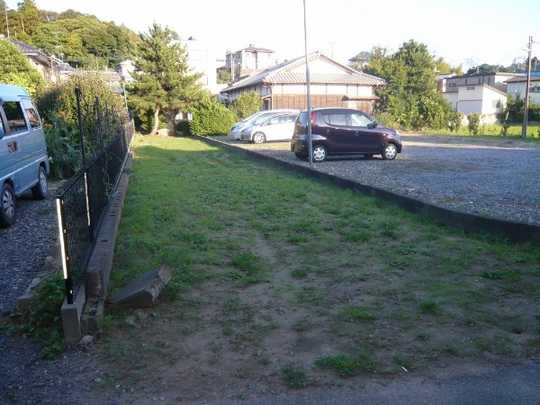 Local land photo. Appearance 1