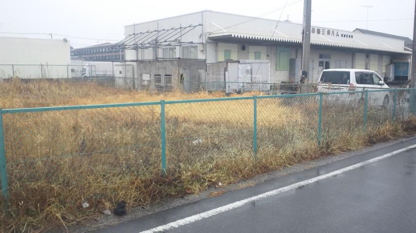 Local land photo. Local (February 2013) Shooting