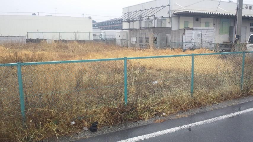 Local land photo. Local (February 2013) Shooting