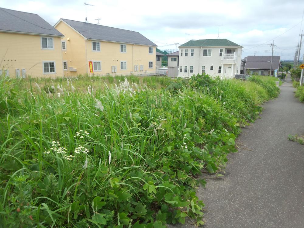 Local land photo. Local (June 2013) Shooting