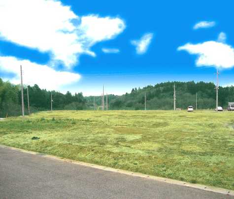 View photos from the local