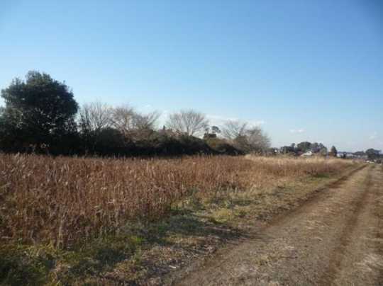 Local land photo. local