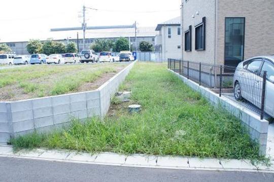 Local land photo. Local Photos