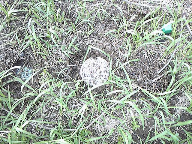 Other local. Local (April 2013) Shooting