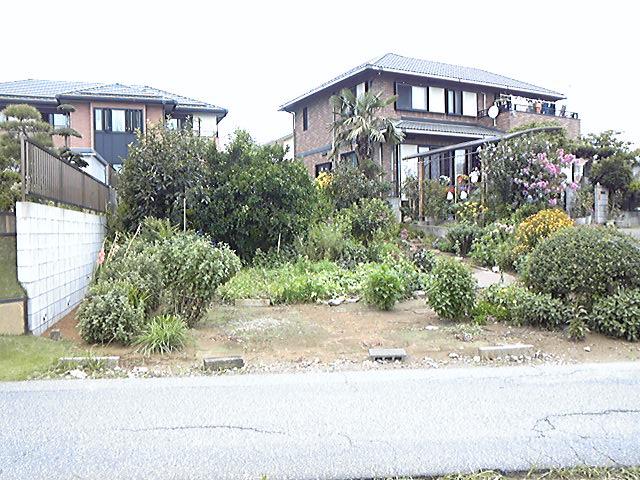 Local land photo. Local (August 2013) Shooting