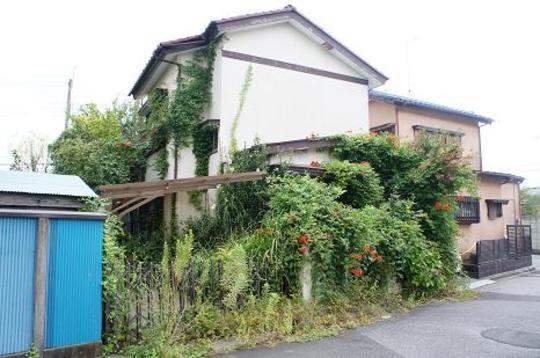 Local land photo. Local Photos