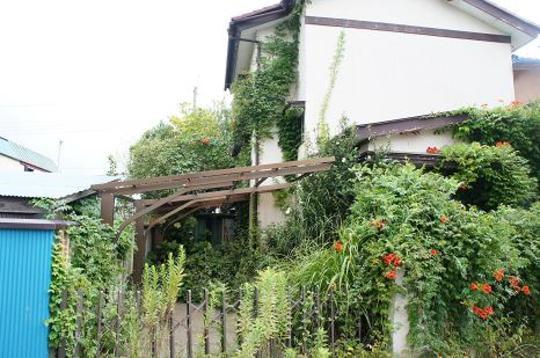 Local land photo. Local Photos