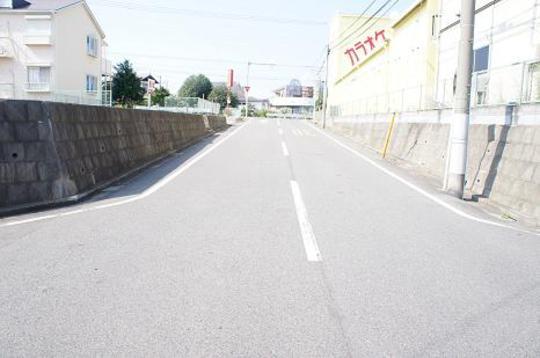 Local photos, including front road. Frontal road