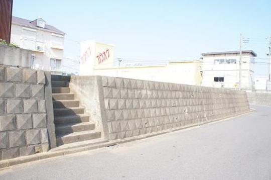 Local land photo. Local Photos