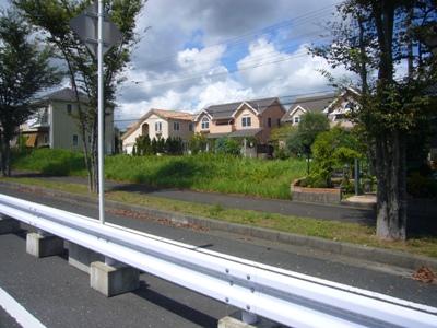 Local photos, including front road