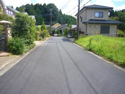 Local photos, including front road