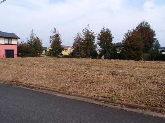 Local land photo. Local Photos