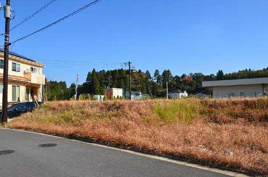 Local land photo. Local photos (south side)