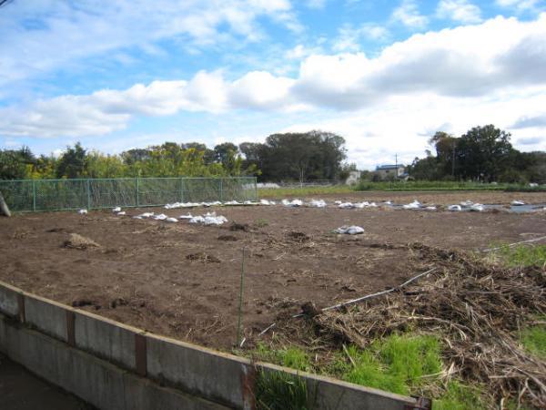 Local land photo