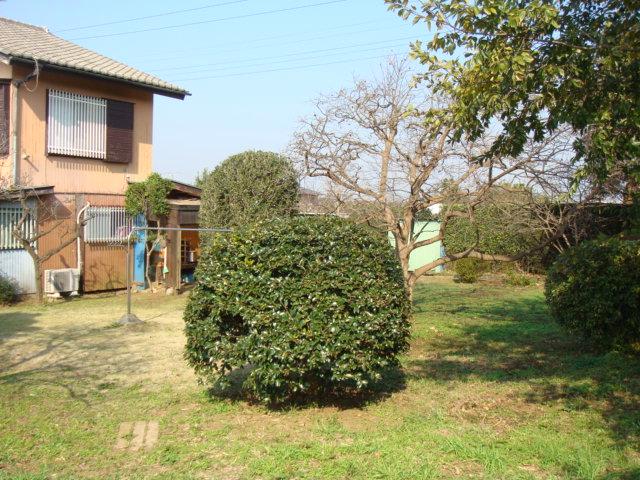 Local land photo