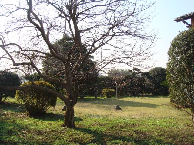 Local land photo