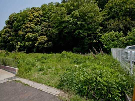 Local land photo