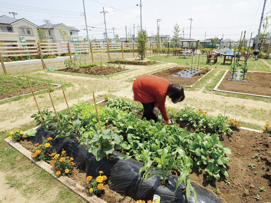 Local land photo. In the city of Yūkarigaoka is, Home garden can enjoy "allotment (Klein Galden)" (photos) and enjoy in your neighborhood each other "Barbecue Park", "Futsal plus", etc., Facilities enhancement to deepen the ties of the parent-child bond and the community.