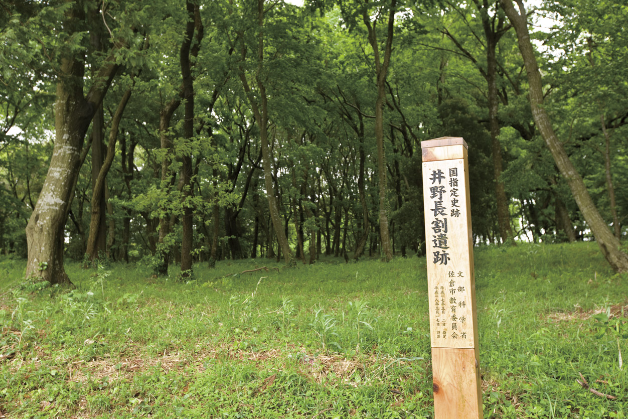 Other Environmental Photo. Ino length split ruins Jomon shell mounds have been discovered, Country specified green deep ruins.
