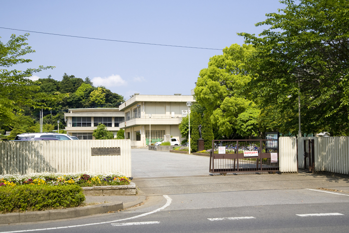 Primary school. Elementary School Kotake elementary school ground has been freely and widely.